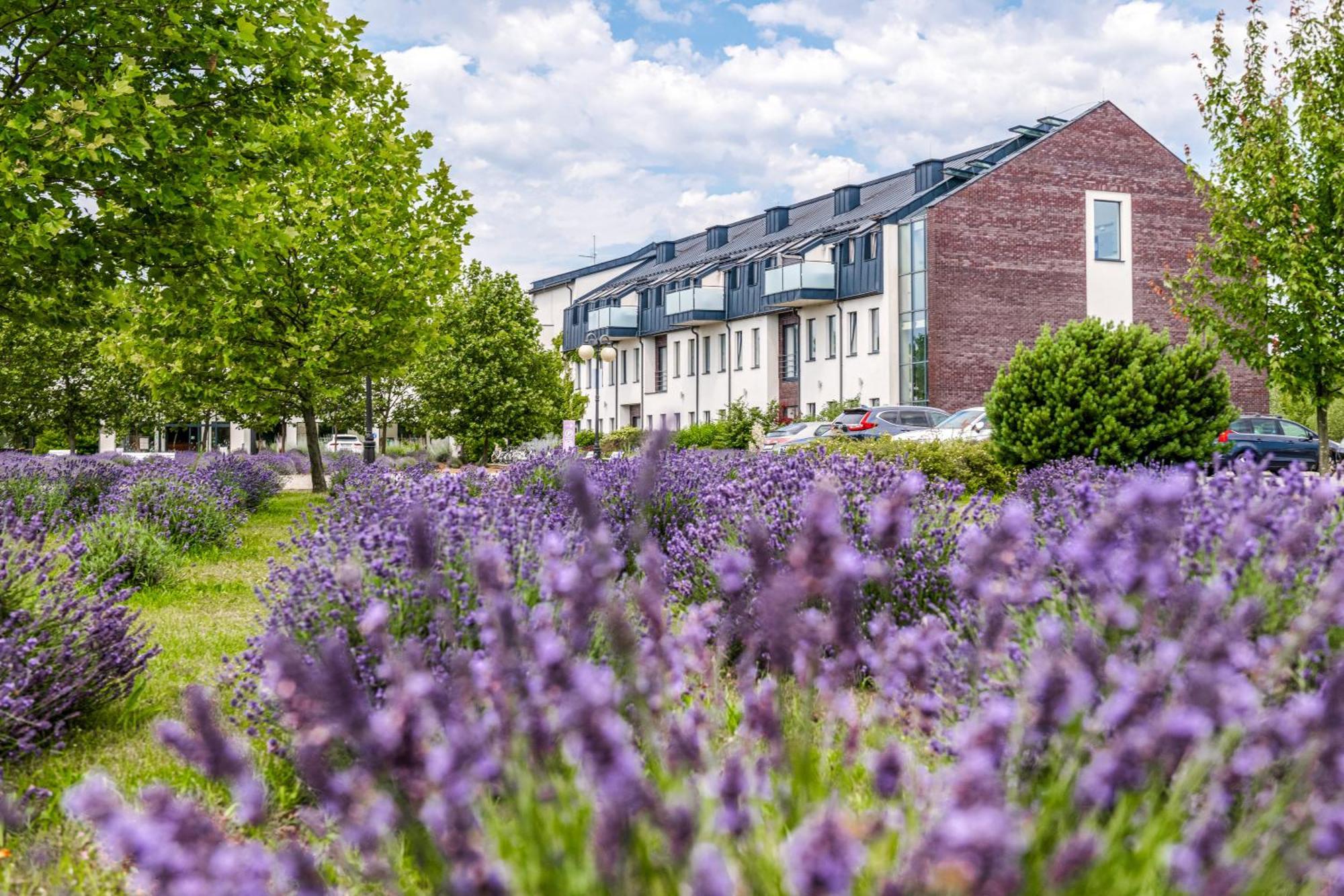 Hotel Lawendowe Termy Uniejow Exteriér fotografie